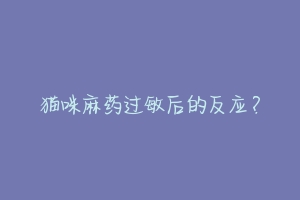 猫咪麻药过敏后的反应?-动物百科