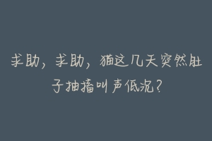 求助,求助,猫这几天突然肚子抽搐叫声低沉?-动物百科