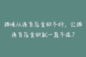 猫咪从绝育后食欲不好,公猫绝育后食欲就一直不振?-动物百科