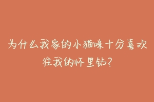 为什么我家的小猫咪十分喜欢往我的怀里钻?-动物百科