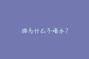 猫为什么不喝水?-动物百科