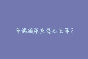 布偶猫尿床怎么回事?-动物百科