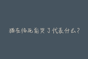猫在临死前哭了代表什么?-动物百科