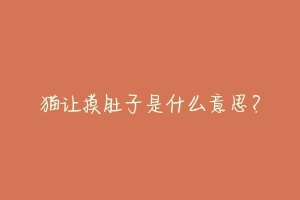 猫让摸肚子是什么意思?-动物百科