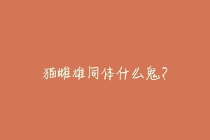 猫雌雄同体什么鬼?-动物百科