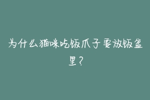 为什么猫咪吃饭爪子要放饭盆里?-动物百科