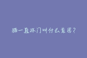 猫一直抓门叫什么意思?-动物百科