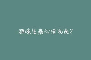 猫咪生病心情说说?-动物百科