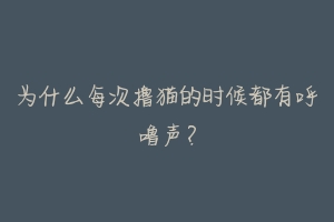 为什么每次撸猫的时候都有呼噜声?-动物百科