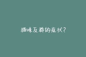 猫咪反群的症状？-动物百科