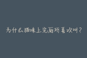 为什么猫咪上完厕所喜欢叫?-动物百科
