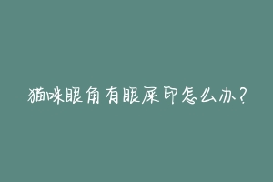 猫咪眼角有眼屎印怎么办?-动物百科