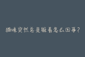 猫咪突然总是躲着怎么回事?-动物百科
