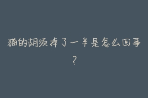 猫的胡须掉了一半是怎么回事?-动物百科