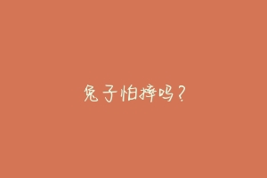 兔子怕摔吗?-动物百科