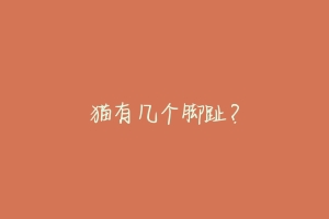 猫有几个脚趾?-动物百科