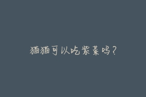 猫猫可以吃紫菜吗?-动物百科