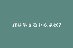 猫缺钙会有什么症状?-动物百科