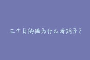 三个月的猫为什么掉胡子?-动物百科