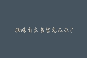 猫咪有点鼻塞怎么办?-动物百科