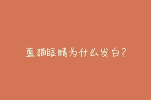 蓝猫眼睛为什么发白?-动物百科