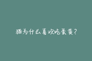 猫为什么喜欢吃蛋黄?-动物百科