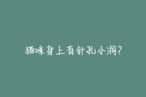 猫咪身上有针孔小洞?-动物百科