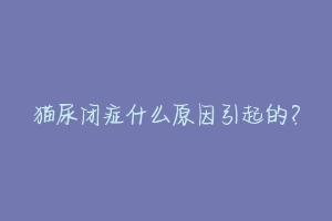 猫尿闭症什么原因引起的?-动物百科