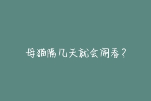母猫隔几天就会闹春?-动物百科
