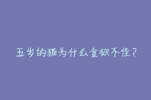 五岁的猫为什么食欲不佳?-动物百科