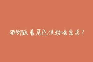 猫脚踩着尾巴使劲啥意思?-动物百科