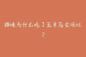 猫咪为什么吃了玉米后会呕吐?-动物百科