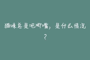 猫咪总是吧唧嘴,是什么情况?-动物百科