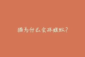 猫为什么会抓蜈蚣?-动物百科