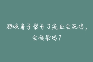 猫咪鼻子裂开了流血会死吗,会传染吗?-动物百科