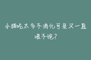 小猫吃太多不消化可是又一直喂不饱?-动物百科