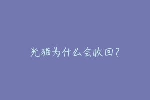 光猫为什么会收回?-动物百科