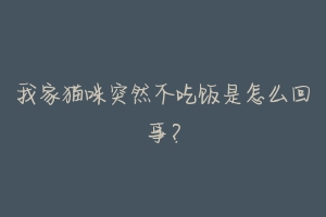 我家猫咪突然不吃饭是怎么回事?-动物百科