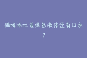 猫咪呕吐黄绿色液体还有口水?-动物百科