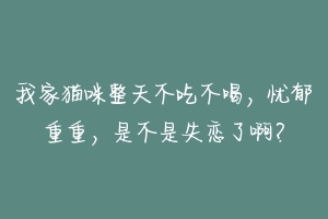 我家猫咪整天不吃不喝,忧郁重重,是不是失恋了啊?-动物百科