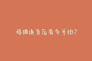母猫绝育后有多可怕?-动物百科