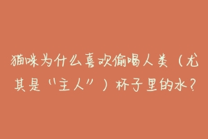 猫咪为什么喜欢偷喝人类(尤其是“主人”)杯子里的水?-动物百科