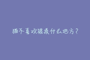 猫不喜欢被摸什么地方?-动物百科