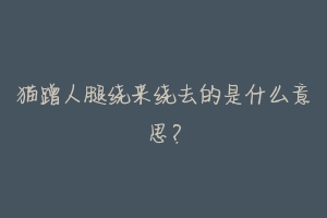 猫蹭人腿绕来绕去的是什么意思?-动物百科
