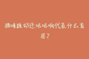 猫咪踩奶还咕咕响代表什么意思?-动物百科