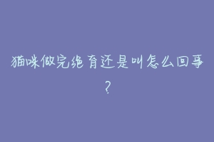 猫咪做完绝育还是叫怎么回事?-动物百科