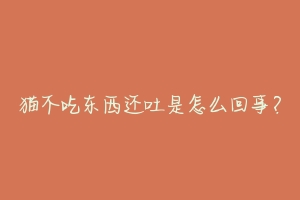 猫不吃东西还吐是怎么回事?-动物百科