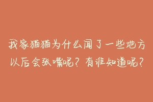 我家猫猫为什么闻了一些地方以后会张嘴呢?有谁知道呢?-动物百科