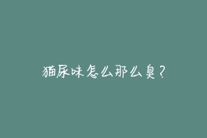 猫尿味怎么那么臭?-动物百科
