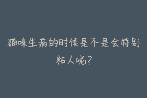 猫咪生病的时候是不是会特别粘人呢?-动物百科